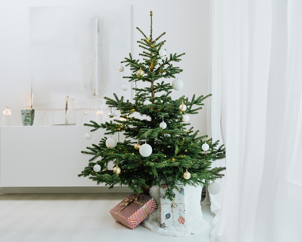 Cum să decorezi un pom de Crăciun într-un mod modern?