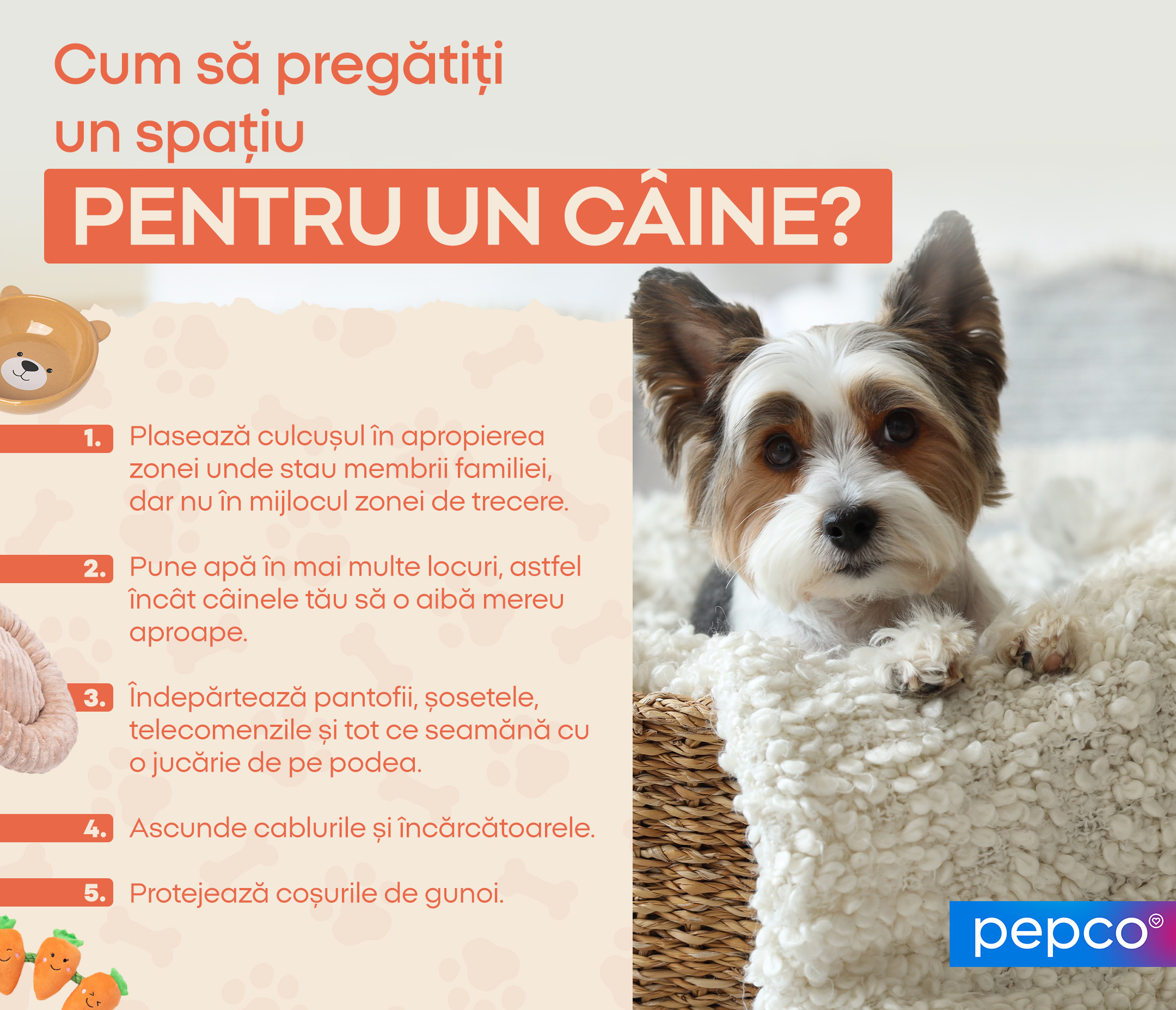Cum să pregătiți un spațiu pentru un câine? 